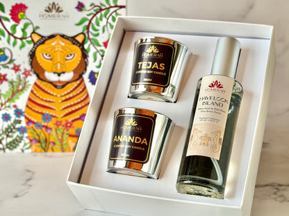Homerah Coastal Essence in Gond Tiger Gift Box - Set of 3 - HAVELOCK ISLAND (White Sand & Wild Flora) Fine Room Parfum x1 with TEJAS (Spices of India) x1, ANANDA (Honey & Rose) Scented Soy Wax Luxury Candles
