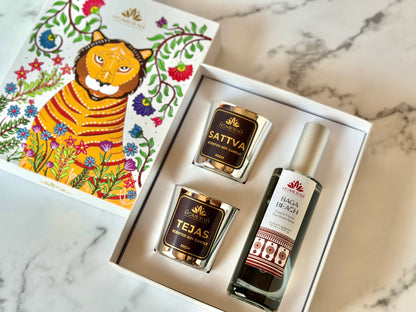 Homerah Lights & Shores Collection In Gond Tiger Gift Box - Set of 3 - BAGA BEACH (Coastal Citrus) Fine Room Parfum x1 with SATTVA (Lemongrass) x1 TEJAS (Spices of India) Scented Soy Wax Luxury Candles